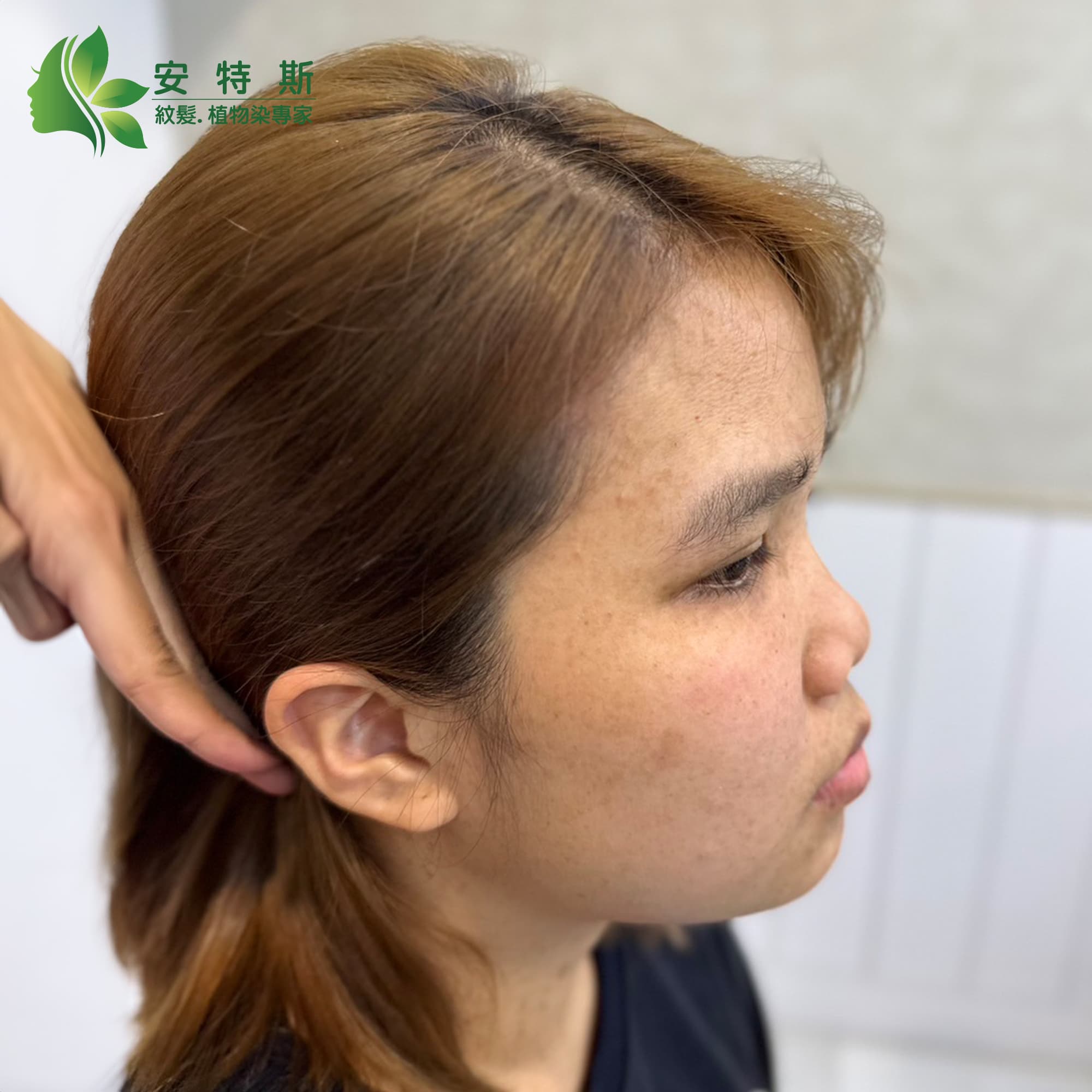 對抗掉髮無望?找安特斯就對了
